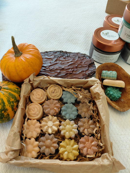 Winter Potpourri  χειροποίητων wax melts από 100% Φυτικό Κερί Σόγιας 16 τεμαχίων